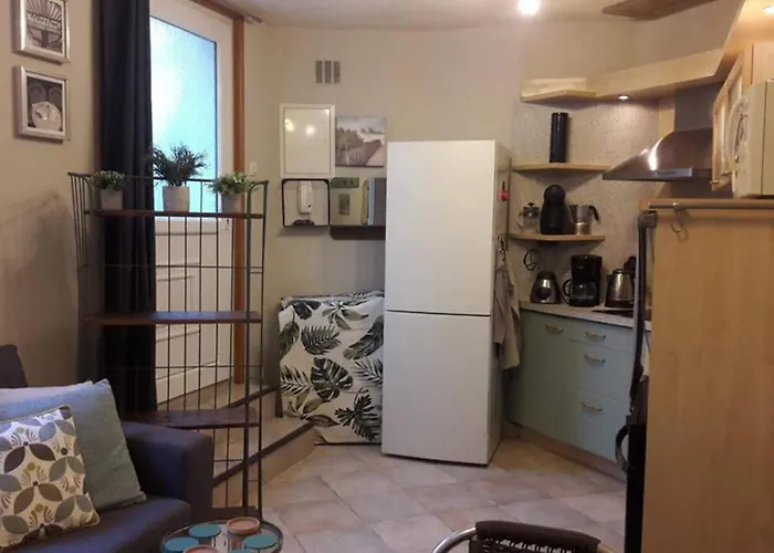 公寓 Joli Petit Loft Dans Echoppe Pierre Centre-ville *