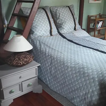 Joli Petit Loft Dans Echoppe Pierre Centre-ville 公寓 波尔多